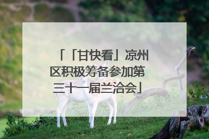 「甘快看」凉州区积极筹备参加第三十一届兰洽会