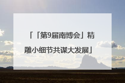 「第9届南博会」精雕小细节共谋大发展