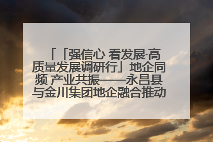 「强信心 看发展·高质量发展调研行」地企同频 产业共振——永昌县与金川集团地企融合推动重大项目建设