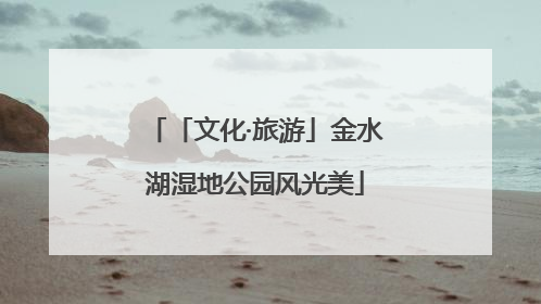 「文化·旅游」金水湖湿地公园风光美