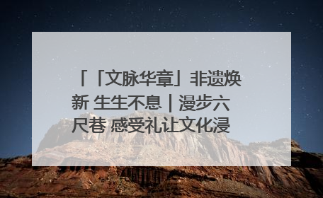 「文脉华章」非遗焕新 生生不息｜漫步六尺巷 感受礼让文化浸润的“巷”往生活