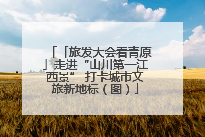 「旅发大会看青原」走进“山川第一江西景” 打卡城市文旅新地标（图）