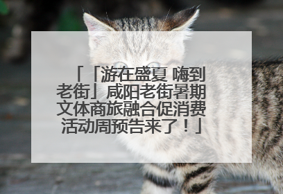 「游在盛夏 嗨到老街」咸阳老街暑期文体商旅融合促消费活动周预告来了！