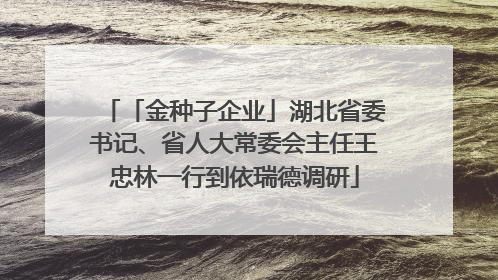 「金种子企业」湖北省委书记、省人大常委会主任王忠林一行到依瑞德调研