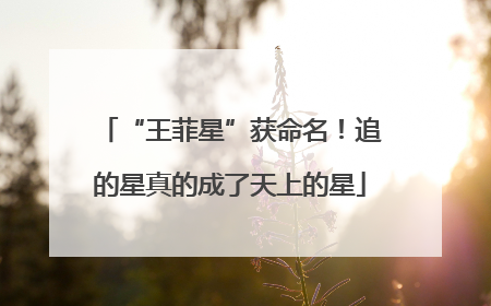 “王菲星”获命名！追的星真的成了天上的星