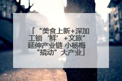 “美食上新+深加工锁‘鲜’+文旅”延伸产业链 小杨梅“撬动”大产业