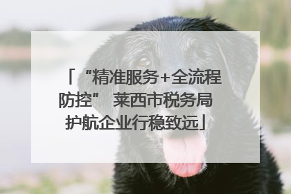 “精准服务+全流程防控” 莱西市税务局护航企业行稳致远