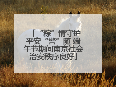 “粽”情守护 平安“警”随 端午节期间南京社会治安秩序良好