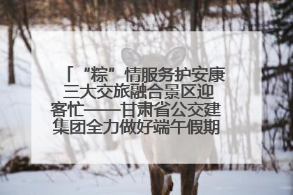 “粽”情服务护安康 三大交旅融合景区迎客忙——甘肃省公交建集团全力做好端午假期景区运营工作