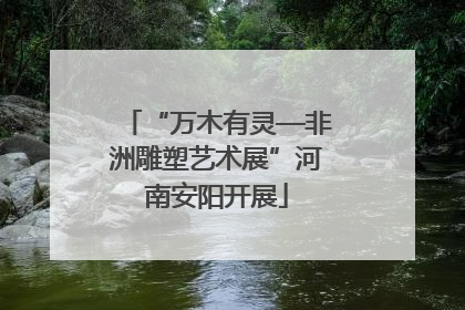 “万木有灵—非洲雕塑艺术展”河南安阳开展