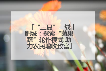 “三夏”一线丨肥城：探索“菌果蔬”轮作模式 助力农民增收致富