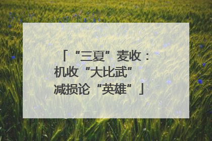 “三夏”麦收：机收“大比武” 减损论“英雄”