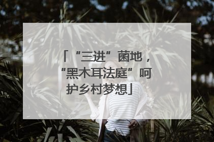 “三进”菌地，“黑木耳法庭”呵护乡村梦想