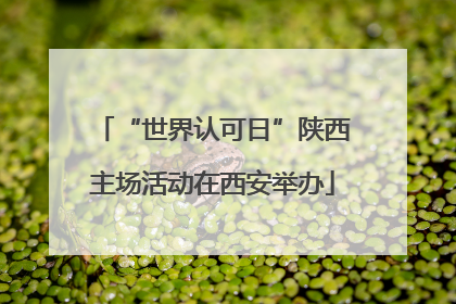 “世界认可日”陕西主场活动在西安举办