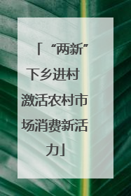 “两新”下乡进村 激活农村市场消费新活力