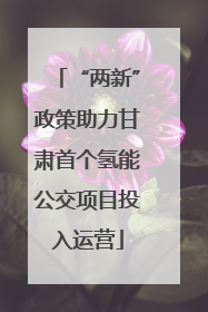 “两新”政策助力甘肃首个氢能公交项目投入运营
