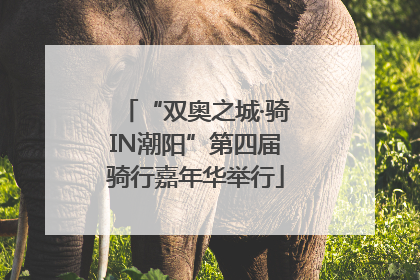 “双奥之城·骑IN潮阳”第四届骑行嘉年华举行