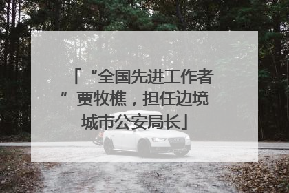 “全国先进工作者”贾牧樵，担任边境城市公安局长