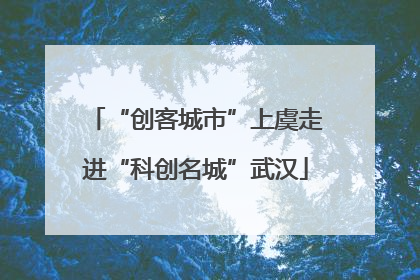 “创客城市”上虞走进“科创名城”武汉