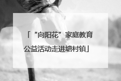 “向阳花”家庭教育公益活动走进塘村镇