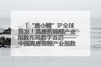 “唐小鲤”IP全球首发！高唐携锦鲤产业指数布局数字赛道——中国高唐锦鲤产业指数暨“唐小鲤”IP全球首发仪式在杭州举行
