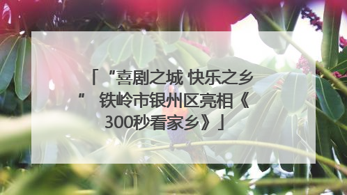 “喜剧之城 快乐之乡” 铁岭市银州区亮相《300秒看家乡》