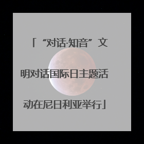 “对话·知音”文明对话国际日主题活动在尼日利亚举行