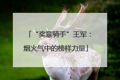 “奖章骑手”王军：烟火气中的榜样力量