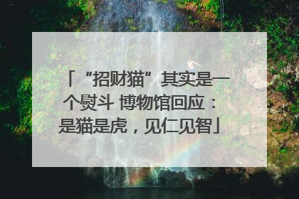 “招财猫”其实是一个熨斗 博物馆回应：是猫是虎，见仁见智