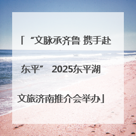 “文脉承齐鲁 携手赴东平” 2025东平湖文旅济南推介会举办