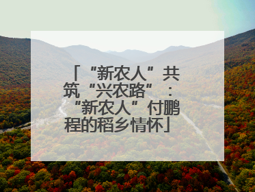 “新农人”共筑“兴农路”：“新农人”付鹏程的稻乡情怀