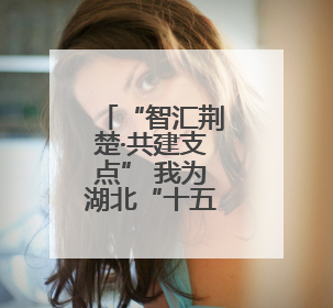 “智汇荆楚·共建支点” 我为湖北“十五五”规划建言献策