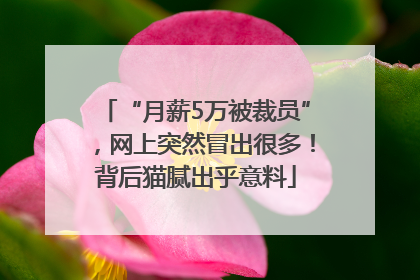 “月薪5万被裁员”，网上突然冒出很多！背后猫腻出乎意料