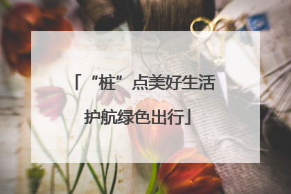 “桩”点美好生活 护航绿色出行