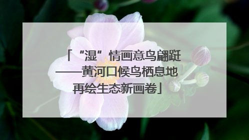 “湿”情画意鸟翩跹——黄河口候鸟栖息地再绘生态新画卷