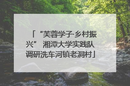 “芙蓉学子·乡村振兴” 湘潭大学实践队调研洗车河镇老洞村