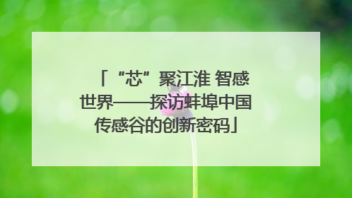 “芯”聚江淮 智感世界——探访蚌埠中国传感谷的创新密码