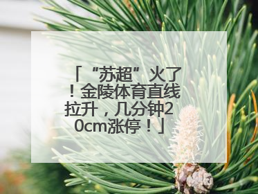 “苏超”火了！金陵体育直线拉升，几分钟20cm涨停！