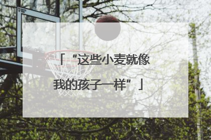 “这些小麦就像我的孩子一样”