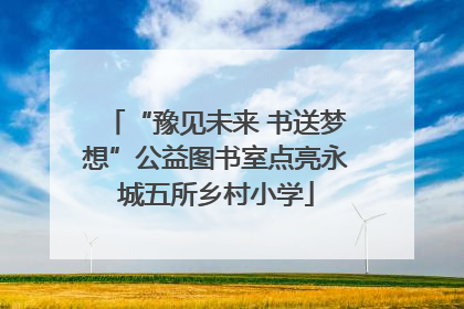 “豫见未来 书送梦想”公益图书室点亮永城五所乡村小学