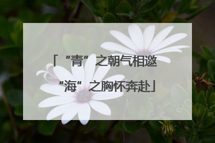 “青”之朝气相邀 “海”之胸怀奔赴