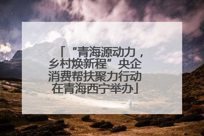 “青海源动力，乡村焕新程”央企消费帮扶聚力行动在青海西宁举办