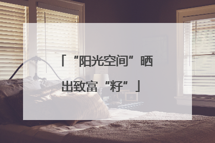 “阳光空间”晒出致富“籽”