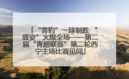 “雪豹”一球制胜 “盛宴”火爆全场——第二届“青超联赛”第二轮西宁主场比赛见闻