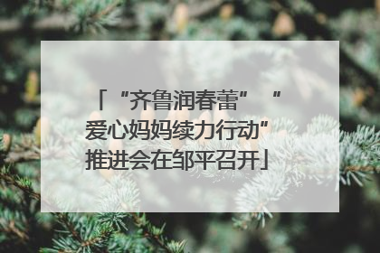 “齐鲁润春蕾”“爱心妈妈续力行动”推进会在邹平召开