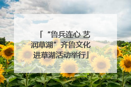 “鲁兵连心 艺润草湖”齐鲁文化进草湖活动举行