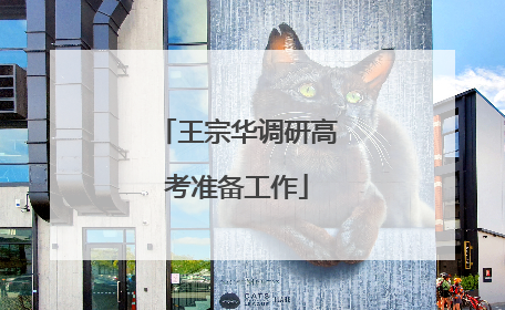 王宗华调研高考准备工作