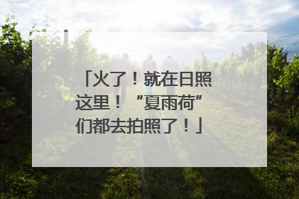 火了！就在日照这里！“夏雨荷”们都去拍照了！