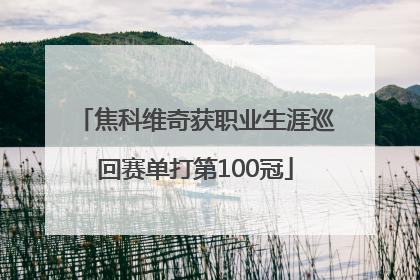 焦科维奇获职业生涯巡回赛单打第100冠