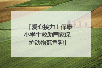 爱心接力！保康小学生救助国家保护动物冠鱼狗